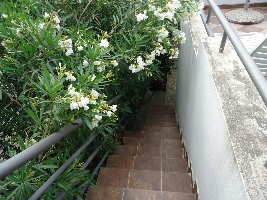 בודווה Apartments Ant חדר תמונה