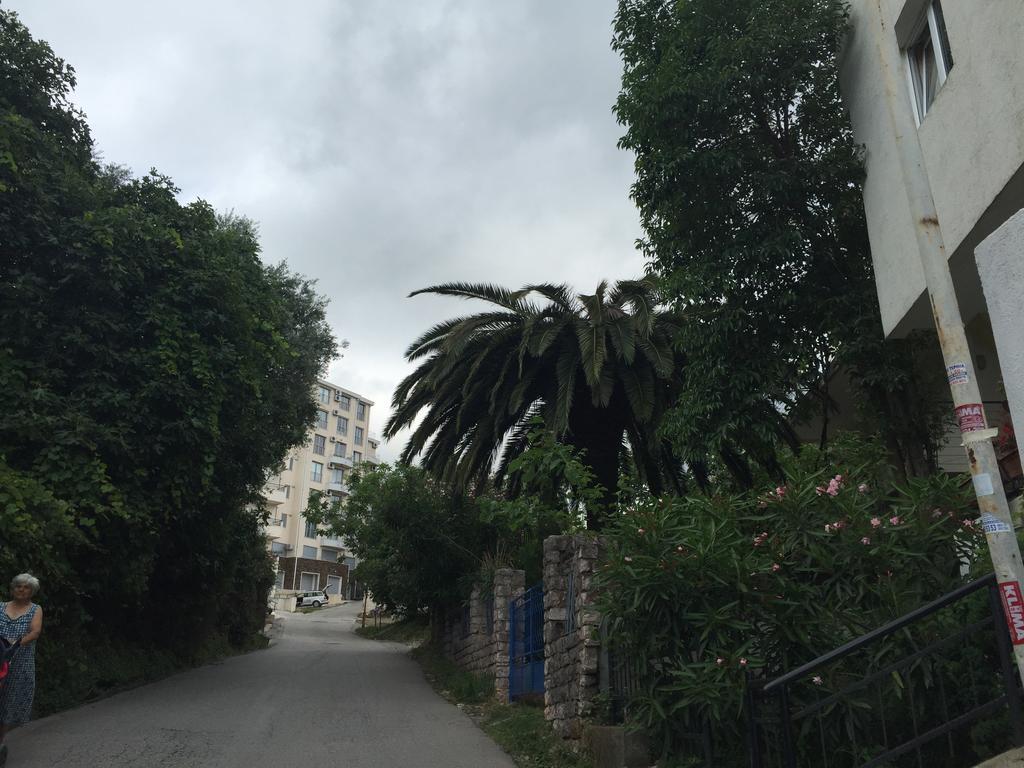 בודווה Apartments Ant מראה חיצוני תמונה